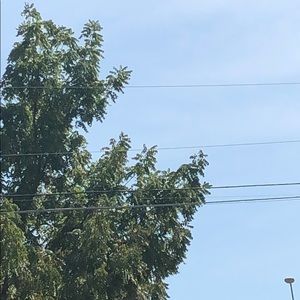 Meet your Posher, Alison